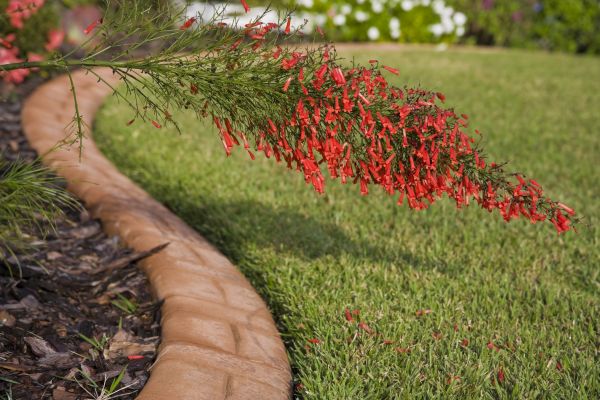 Brick Edging in Springfield
