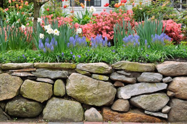 Stone Wall Hardscaping in Springfield