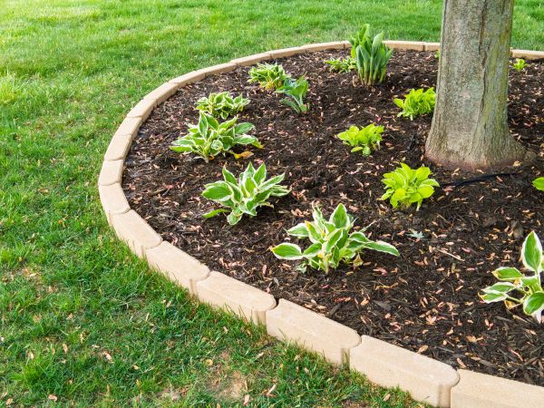 Stone Border Installation in Springfield