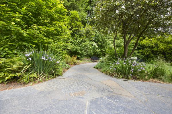 Stone Hardscape Service in Springfield