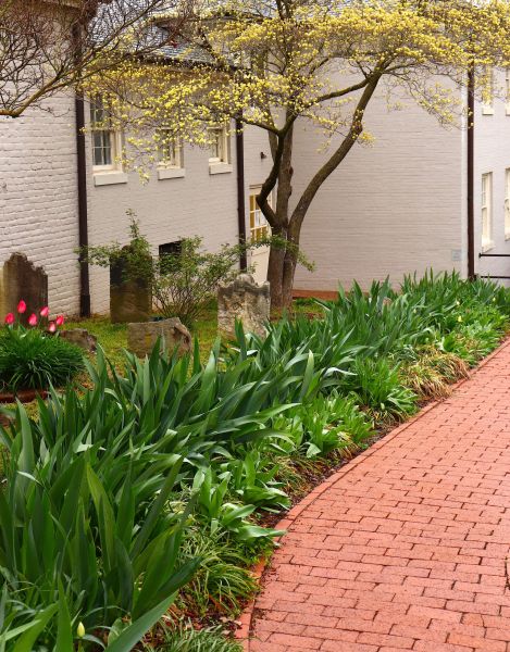 Brick Flatwork Repair in Springfield